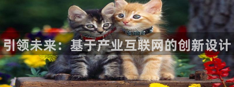 辉达娱乐游戏.直开.中国