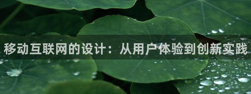 代理辉达娱乐官方网址