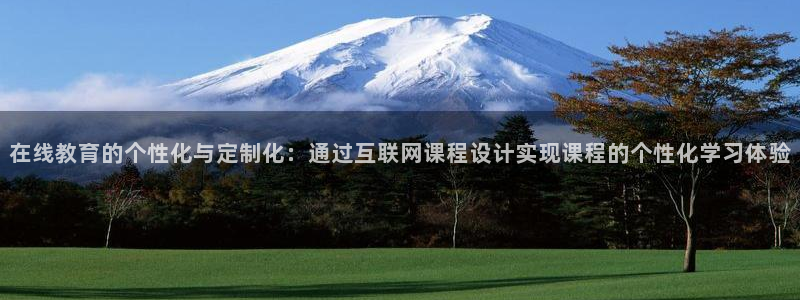 辉达怎么样