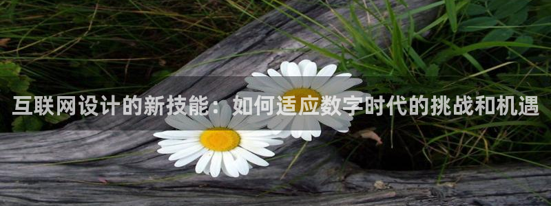 菲律宾辉达娱乐