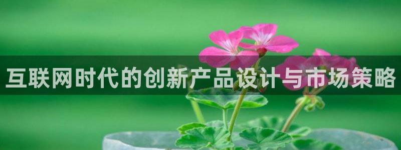 代理辉达娱乐平台