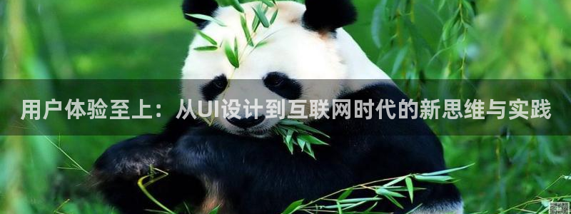正规辉达娱乐平台