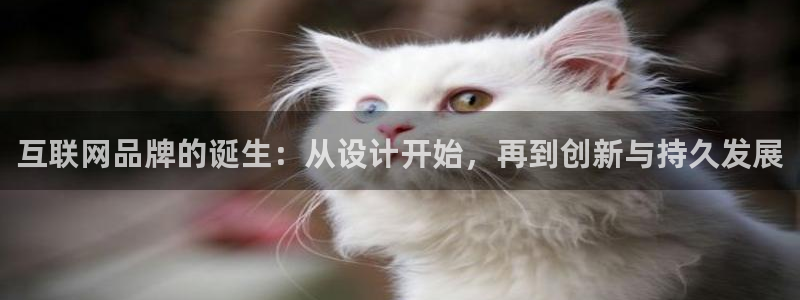 辉达平台官网下载