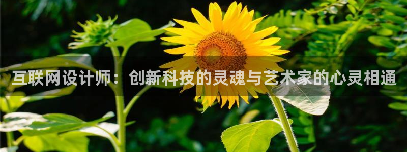 辉达娱乐排列三