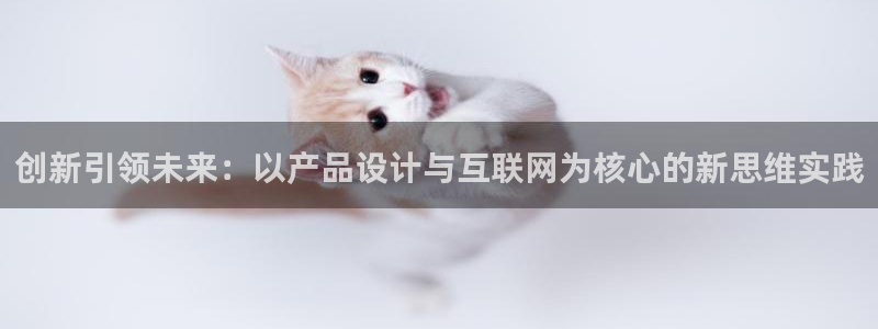 专业辉达娱乐平台