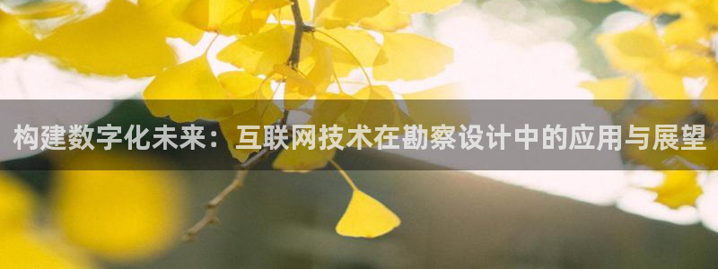 辉达娱乐分红