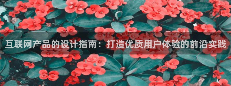 正规辉达娱乐官方网址