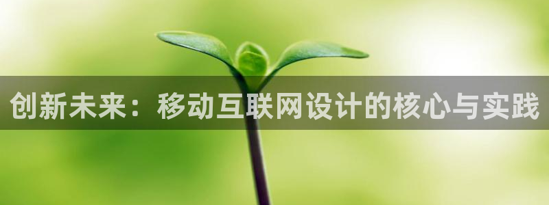 辉达娱乐加q75775