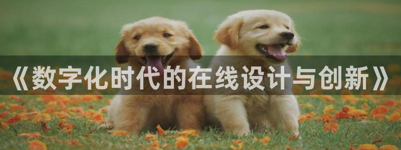 辉达娱乐多少年