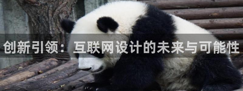 代理辉达娱乐