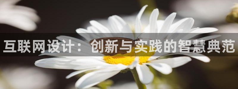 辉达娱乐排列三