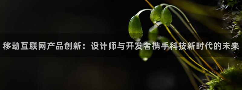 辉达娱乐丶39444