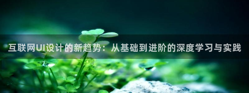 辉达集团官方网站