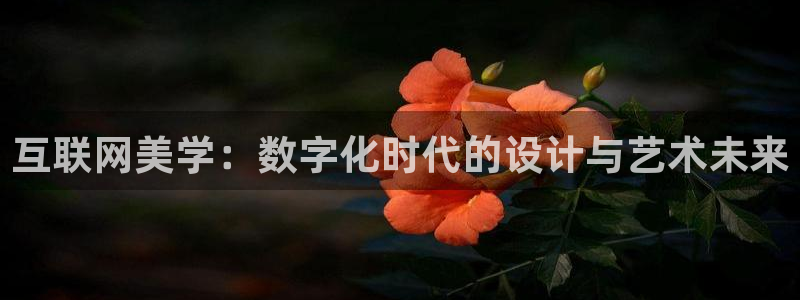 辉达娱乐珈75775