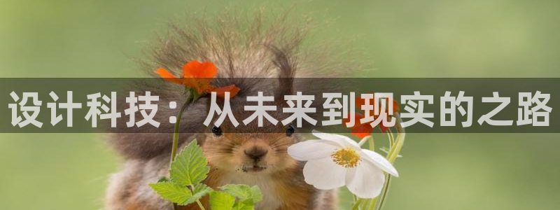 辉达娱乐网址