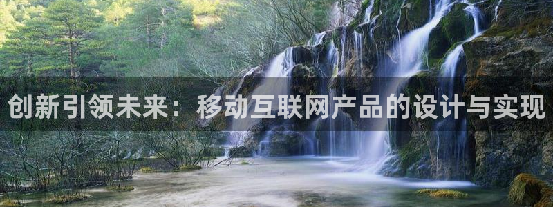 龙腾辉达电子娱乐