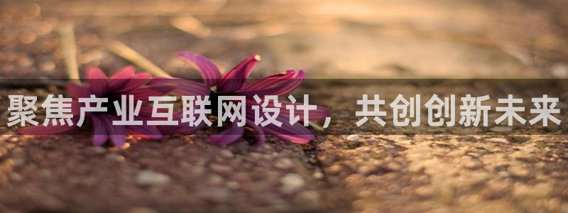 辉达娱乐排列三