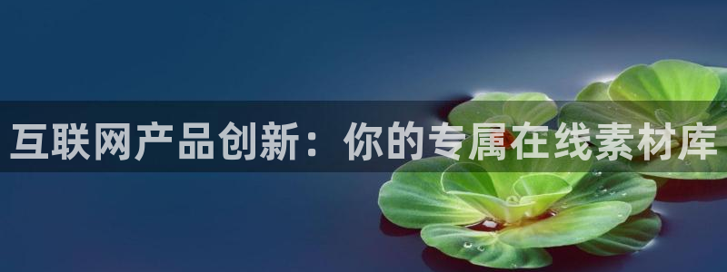 辉达娱乐加扣75775