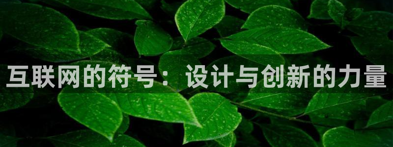 辉达娱乐最新现状：互联网的符号