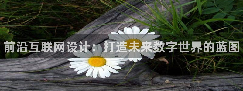龙腾辉达电子娱乐