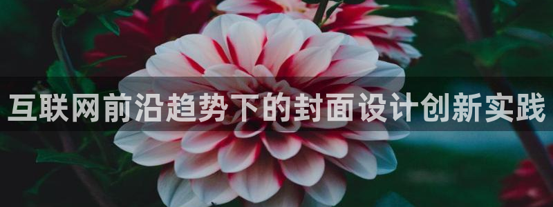 辉达平台注册资金多少：互联网前