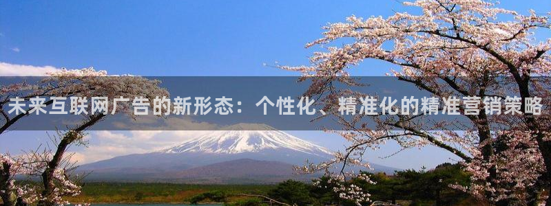 辉达娱乐网址