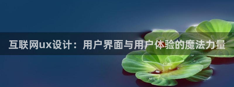 辉达平台官网网站