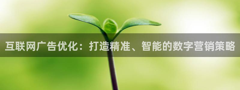 辉达娱乐属于什么档次