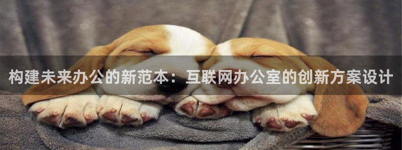 辉达娱乐app