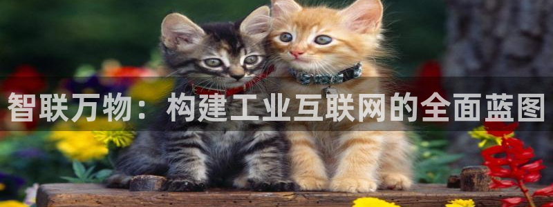 正规辉达娱乐官方网址