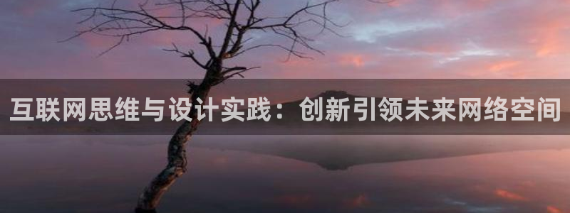 辉达平台娱乐怎么样
