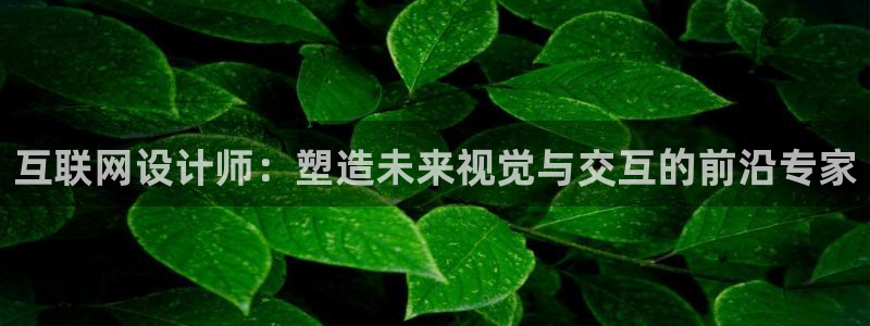 辉达娱乐开户注册：互联网设计师