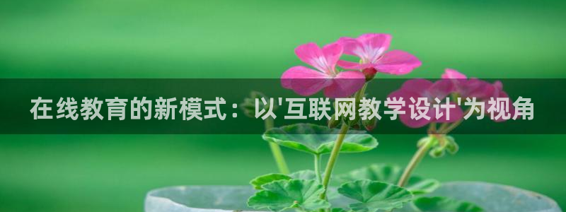辉达娱乐公司：在线教育的新模式