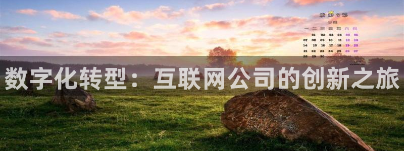 辉达娱乐重庆时时彩注册：数字化