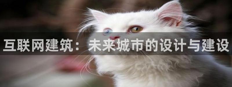 辉达娱乐己75505：互联网建
