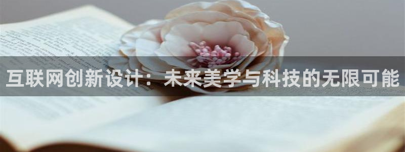 辉达娱乐属于什么档次