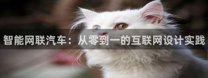 辉达娱乐线路检测