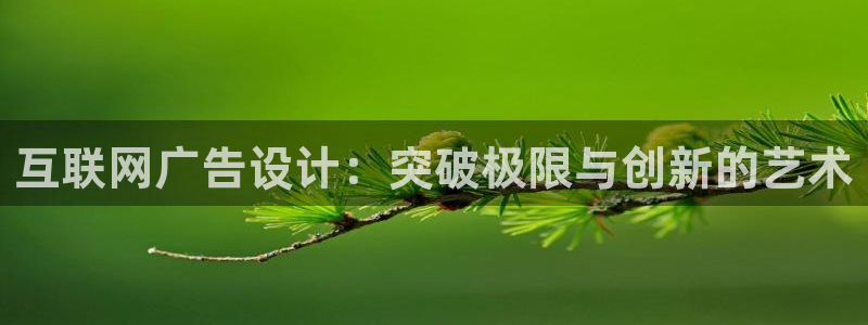 辉达平台官网首页