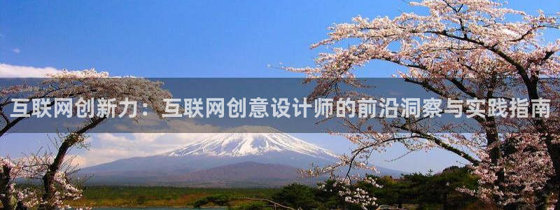 辉达怎么样