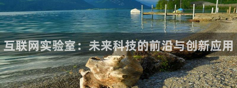 辉达娱乐重庆时时彩