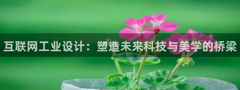 辉达娱乐公司