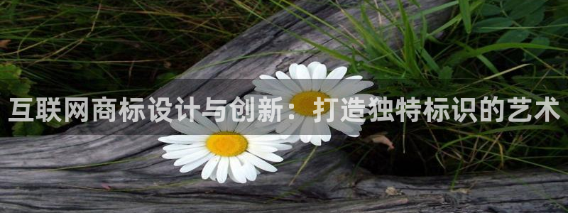专业辉达娱乐官方网址：互联网商