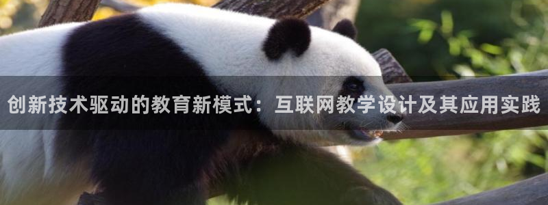 辉达娱乐最新消息新闻：创新技术