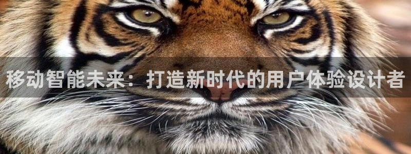 辉达娱乐丨39444