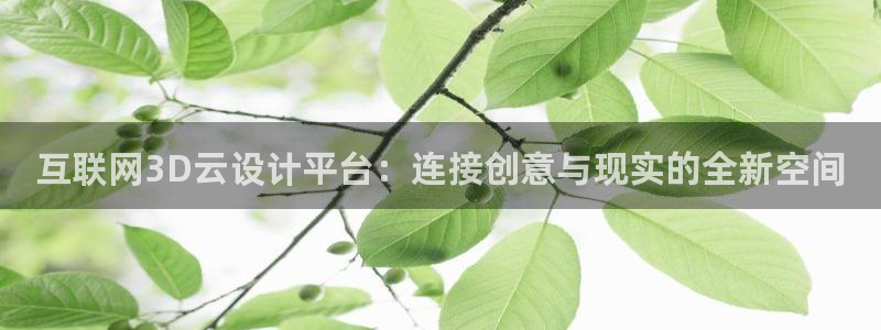 辉达平台官网下载：互联网3D云