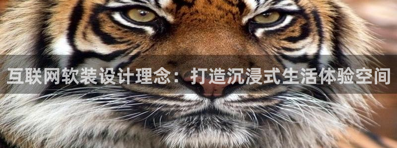 辉达娱乐可靠：互联网软装设计理