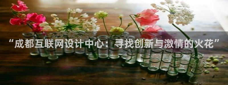 辉达娱乐属于什么档次：“成都互