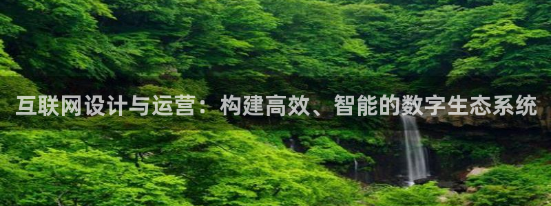 辉达娱乐123123：互联网设