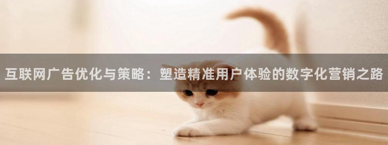 辉达平台官网网站：互联网广告优
