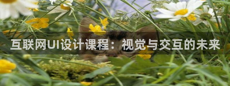 辉达娱乐游戏.直开.中国